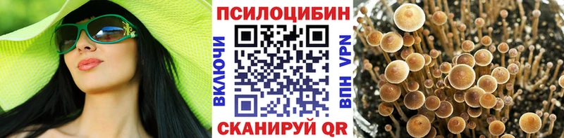 Галлюциногенные грибы мухоморы  Королёв 